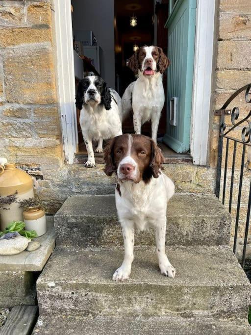 Spaniel Cottage With Views Of Ham Hill, Stoke Sub Hamdon 마톡 외부 사진