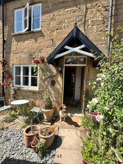 Spaniel Cottage With Views Of Ham Hill, Stoke Sub Hamdon 마톡 외부 사진