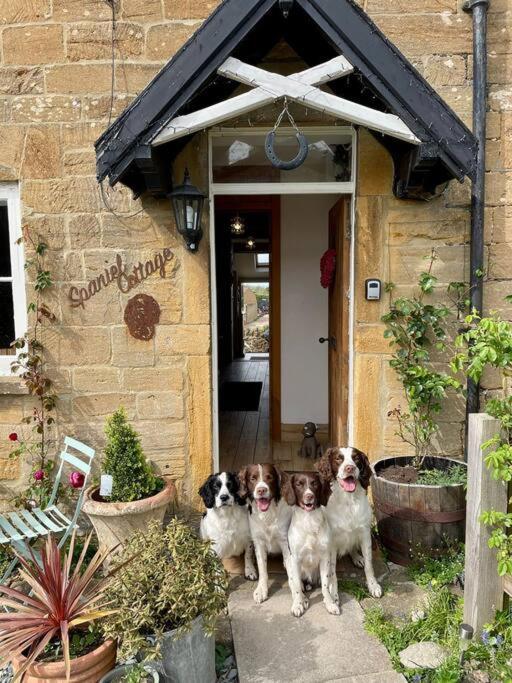 Spaniel Cottage With Views Of Ham Hill, Stoke Sub Hamdon 마톡 외부 사진
